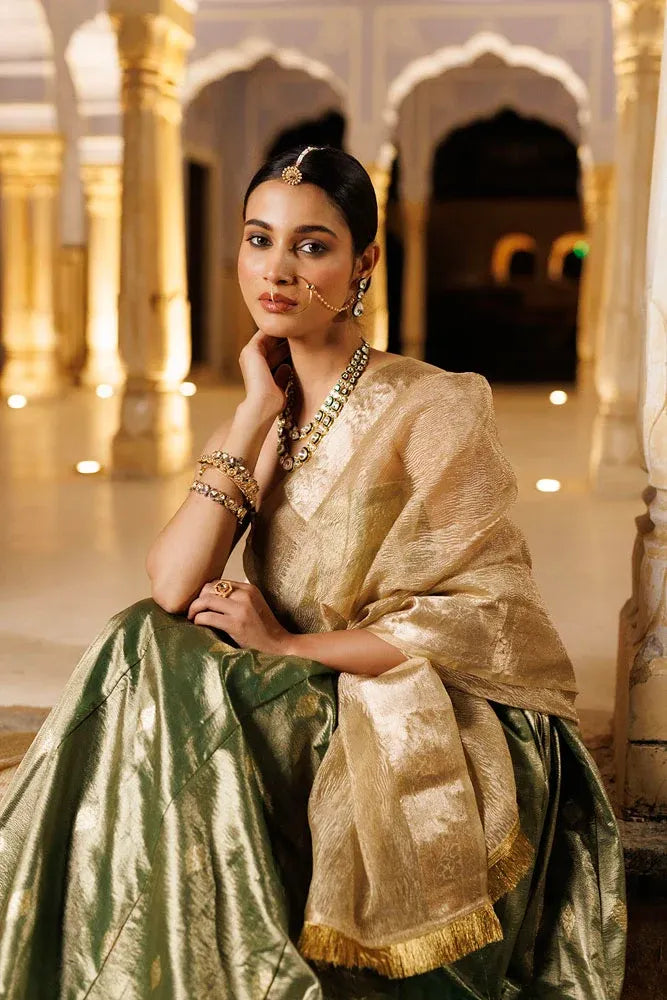 Serene Green Tissue Lehenga