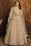 Beige Net Zari Embroidered Anarkali Suit