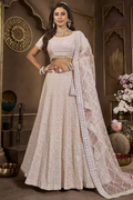 Light Pink Net Bridal Lehenga Choli with Embroidery and Sequins