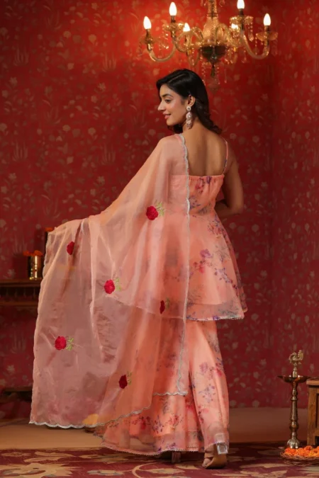 Salmon Organza Sharara Set