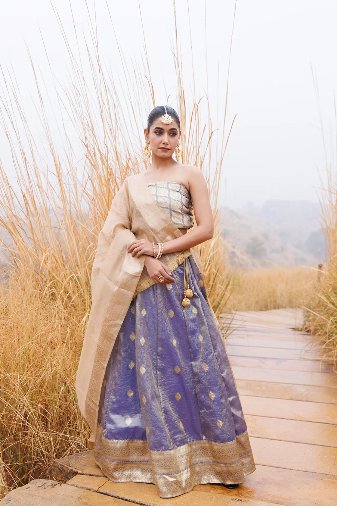 Serene Blue And Beige Tissue Lehenga