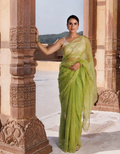 Green Hand Embroidered Resham And Tube Work Organza Saree